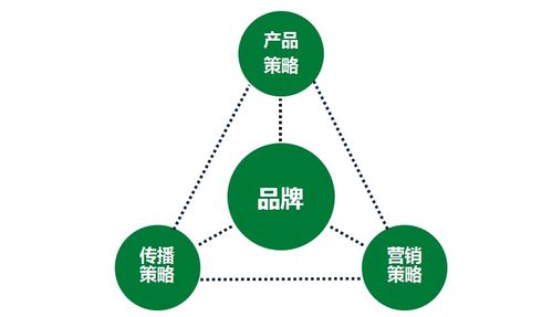 一家傳統(tǒng)企業(yè)的互聯(lián)網(wǎng)轉(zhuǎn)型之路丨國人在線 軟件服務
